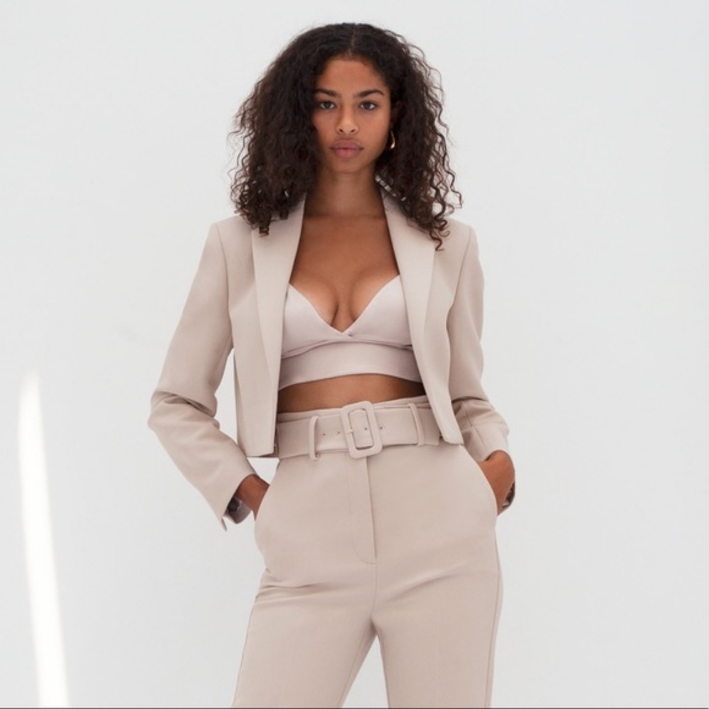 NWT Babaton Ella Blazer in Bone